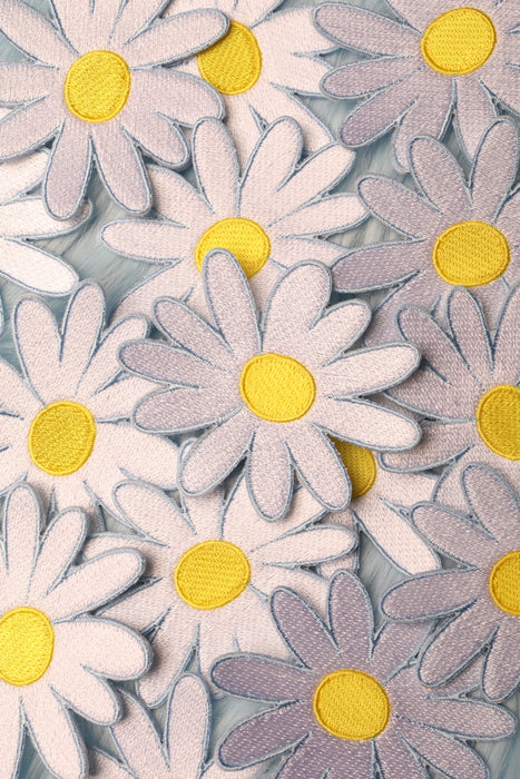 Daisy Flower Patch