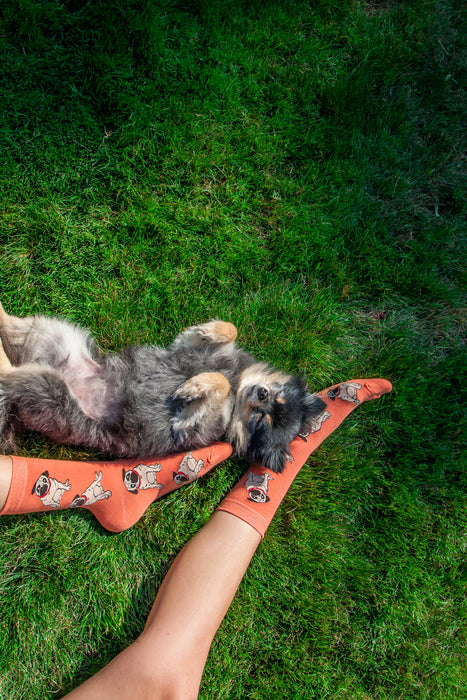 Pugs Women's Socks