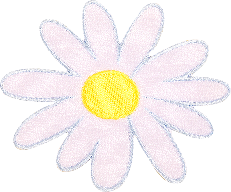 Daisy Flower Patch