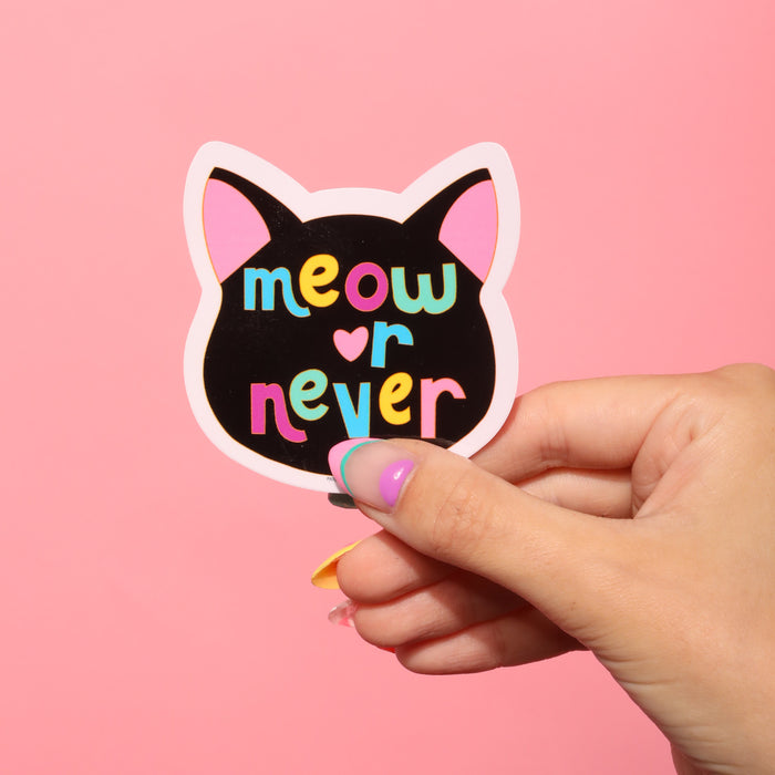 Meow Or Never Sticker