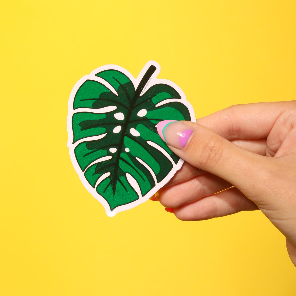 Monstera Leaf Sticker — Patches and Pins Fun Products