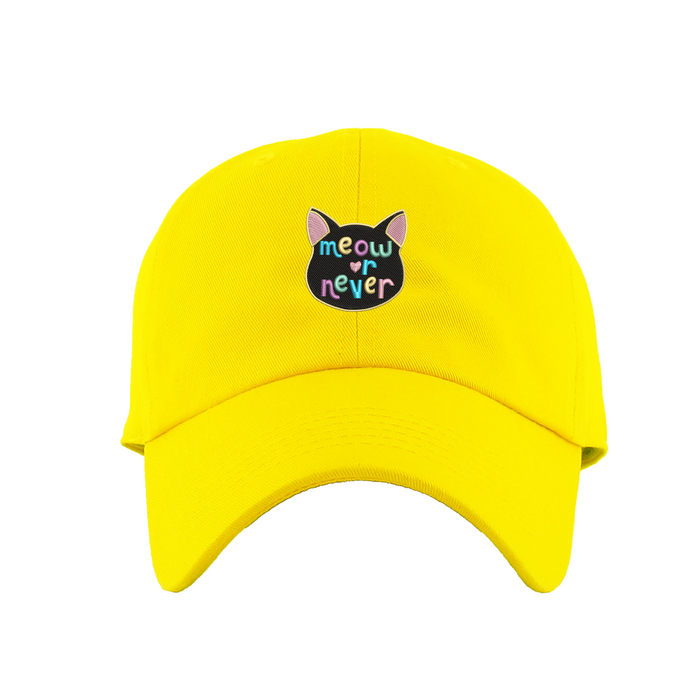 Meow or Never Dad Hat